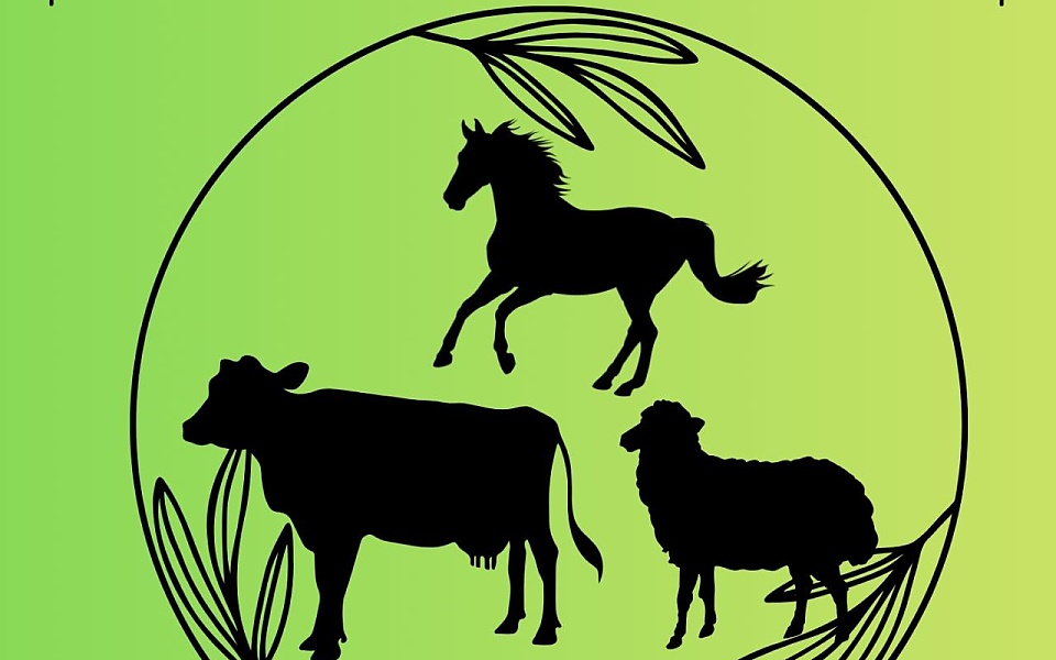 Feria de Otoño