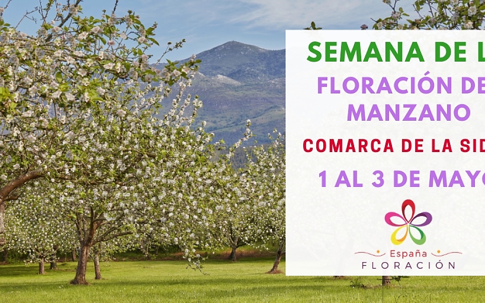 SEMANA DE LA FLORACIÓN DEL MANZANO