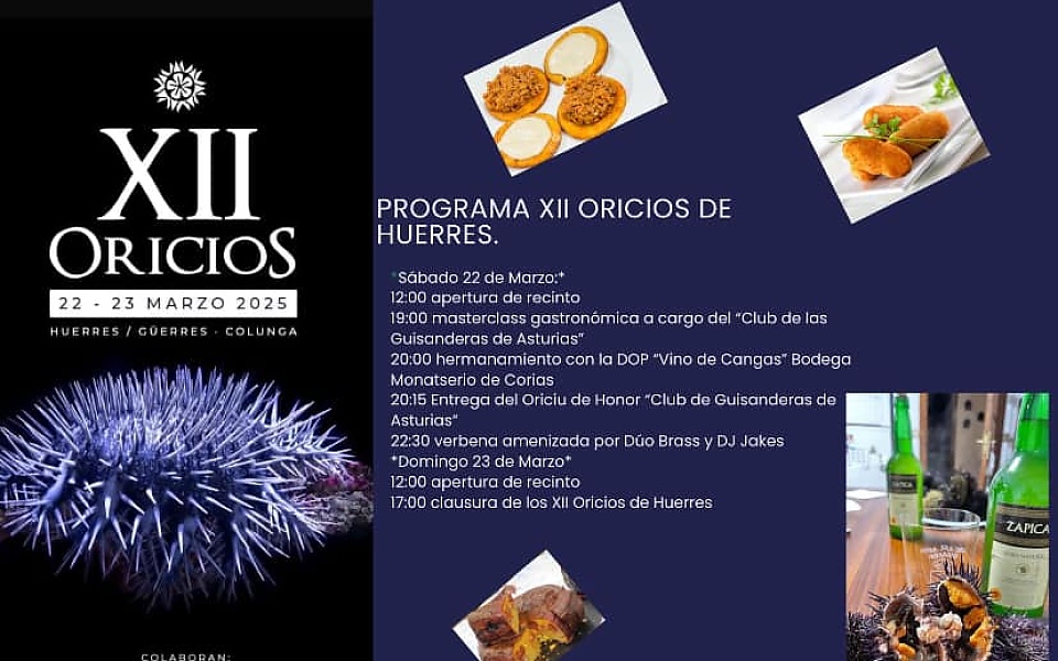 XII ORICIOS HUERRES-GÜERRES